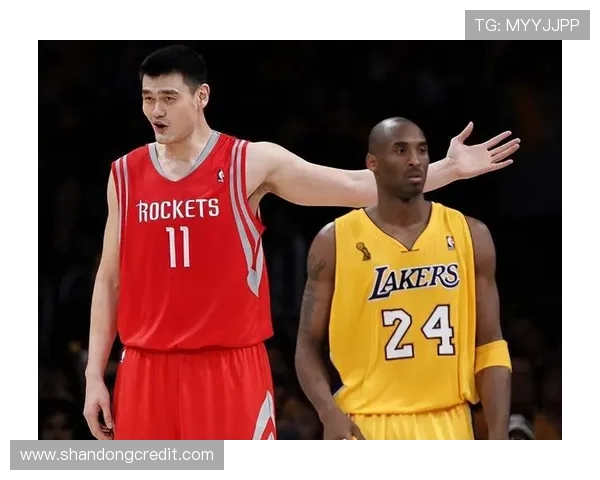 上海篮球队实力强劲夺冠最新篮球实力排名前十解析