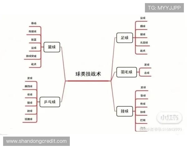 上海羽毛球队快攻战术解析与深度剖析