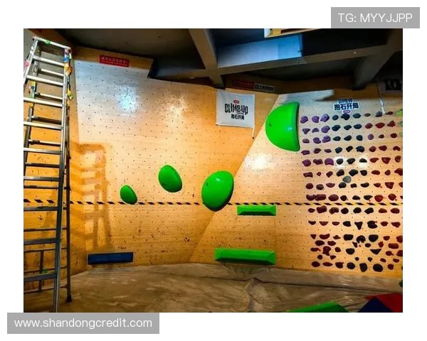 北京攀岩队在极限运动会中的耐力表现分析与点评