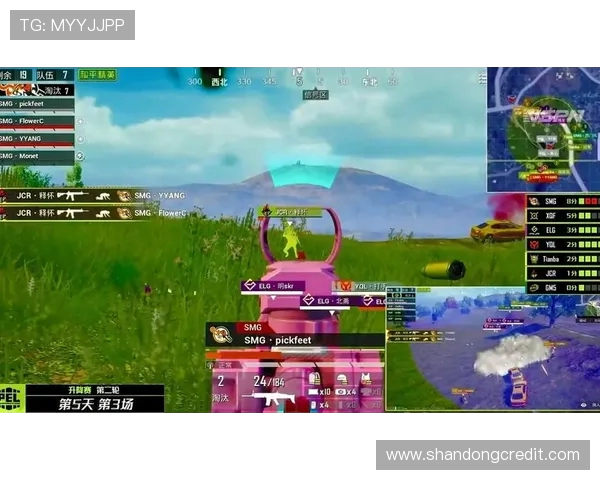 和平精英热议TES团队协作引发的争议与反思