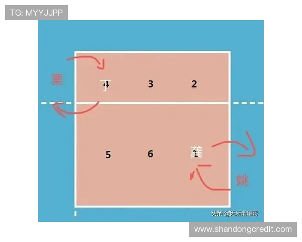 广州排球队的战术解析与控制能力深度剖析