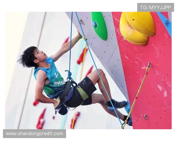 攀岩深度探秘：揭秘上海攀岩队的运营模式与发展策略