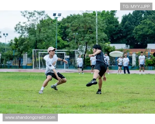 杭州飞盘队在世界攀岩锦标赛中的心理素质表现分析与点评