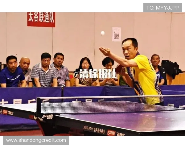 武汉乒乓球队区域防守策略分析及其对比赛结果的影响探讨