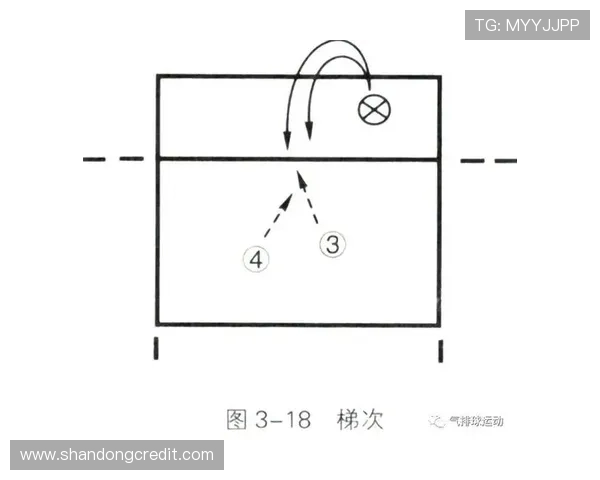 深圳排球队快攻战术解析与技术特点深度剖析