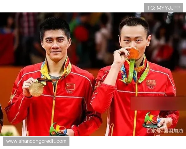 深圳羽毛球队与西安羽毛球队赛后复盘分析团队配合与战术执行的关键因素