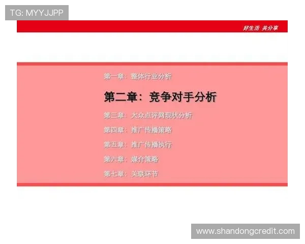 重庆排球队在城市联赛中的技术表现分析与点评探讨