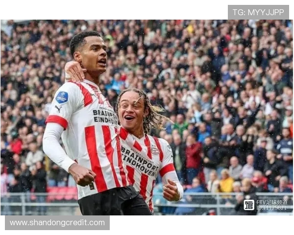 加克波：从青年才俊到足球巨星的华丽转身与未来展望