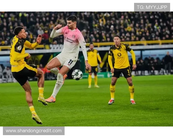 德国与喀麦隆足球实力对比谁能在比赛中胜出分析