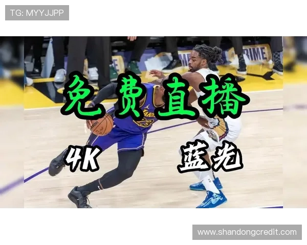 湖人对阵鹈鹕最新比赛精彩回顾与赛后分析全景呈现