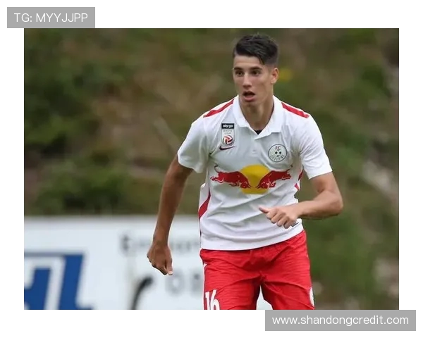 索博斯洛伊的历史传承与文化魅力探秘之旅