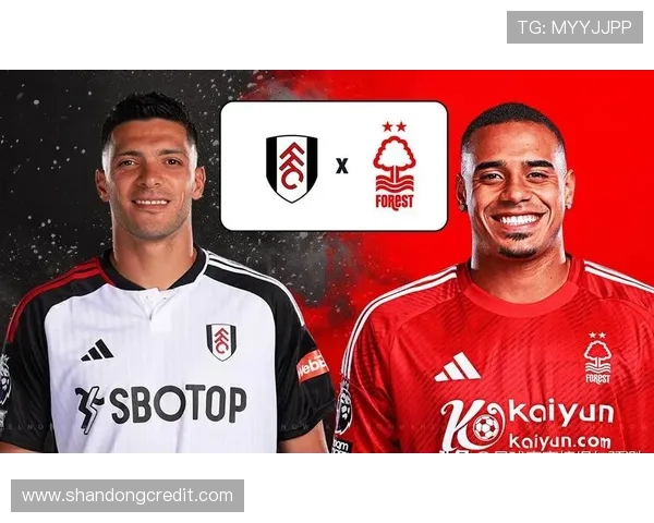 雷丁与诺丁汉森林精彩对决直播全程回顾与分析