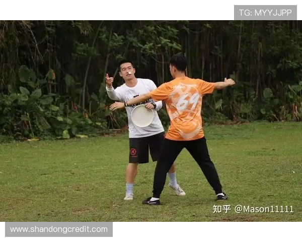 飞盘战术解析：南京飞盘队进攻策略与团队配合的深度探讨