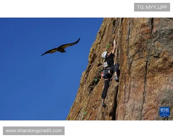 南京攀岩队与深圳攀岩队赛后状态分析与复盘总结