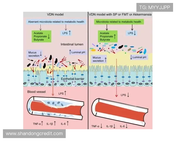 南京网球队实力解析：聚焦训练与比赛的双重提升之路