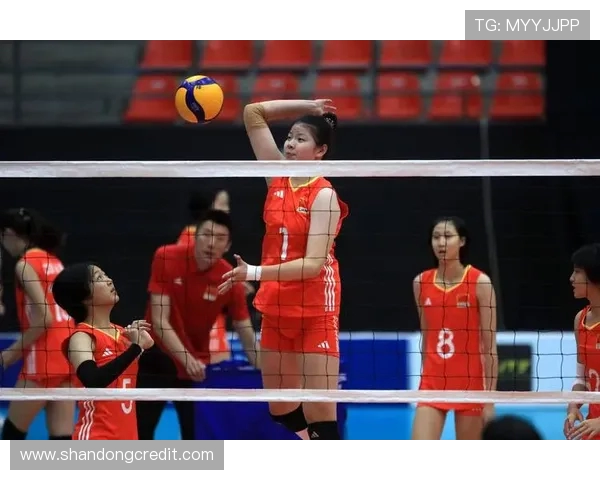 成都排球队在全国排球节奏排行榜中荣获第四名的辉煌成就