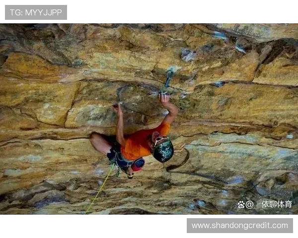 攀岩新手必看全方位入门指南与技巧分享