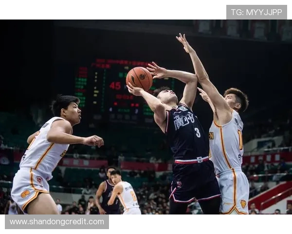 深圳与广州排球队的耐力较量赛后分析与反思