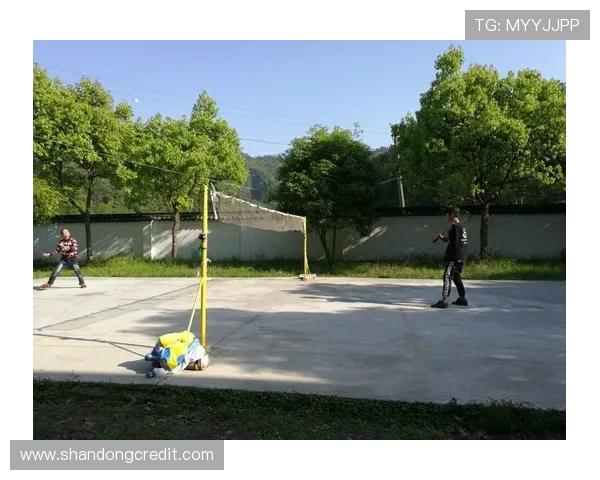 深入分析上海羽毛球队的阵地战战术与技巧应用 深入分析上海羽毛球队的阵地战战术与技巧应用