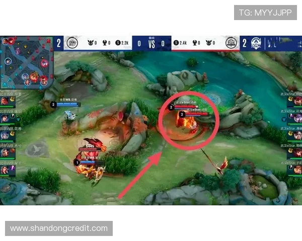 深度分析V5战队区域防守策略及其在比赛中的应用效果