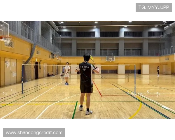 羽毛球纪实：见证北京羽毛球队转型与发展的历程与挑战