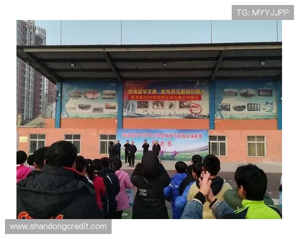 赵强独家揭秘足球技巧与战术分享助你提升球技的实用心得