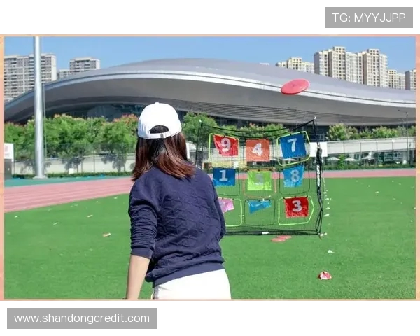 飞盘新手必读：从基础到进阶的全面技巧与战术解析