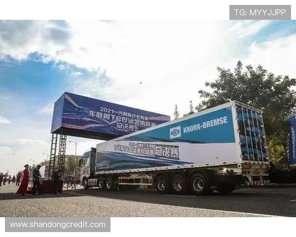 上海排球队的崛起之路与总决赛背后的奋斗故事