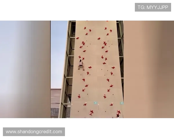 广州攀岩队实力强劲荣登全国攀岩实力排行榜第五名