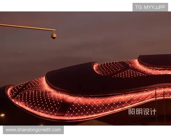 广州极限运动队节奏争议引发热议运动爱好者的不同声音与看法