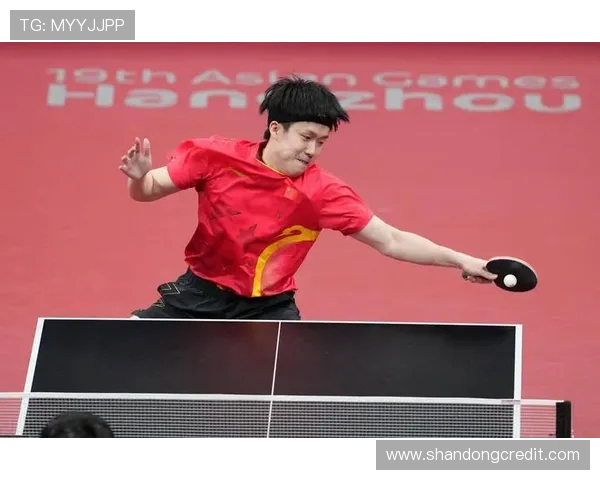 杭州乒乓球队在锦标赛中的精彩表现与实力分析