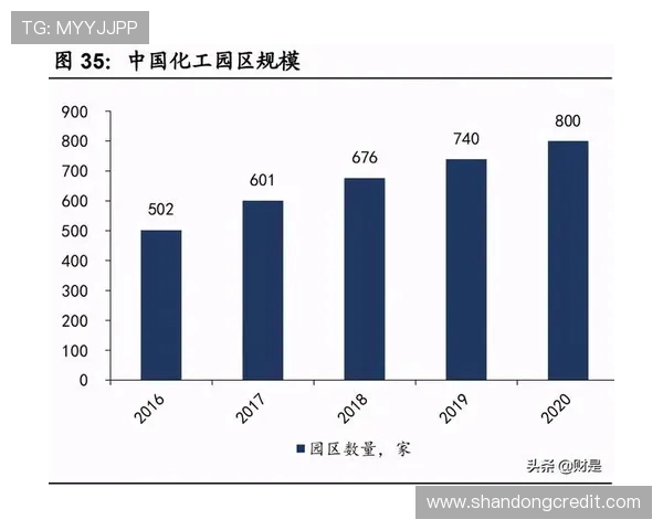 杭州篮球队的现状揭秘与未来展望全景分析