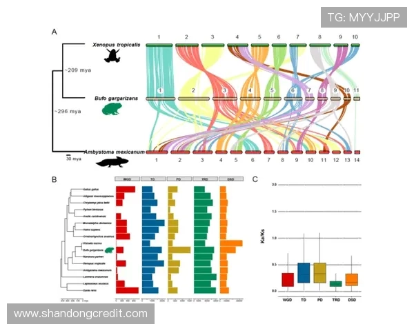 杭州街舞队灵活性表现数据分析揭示其训练效果与团队协作的重要性