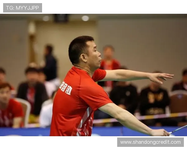 杭州羽毛球队与深圳羽毛球队赛后复盘团队协作的成功与不足分析